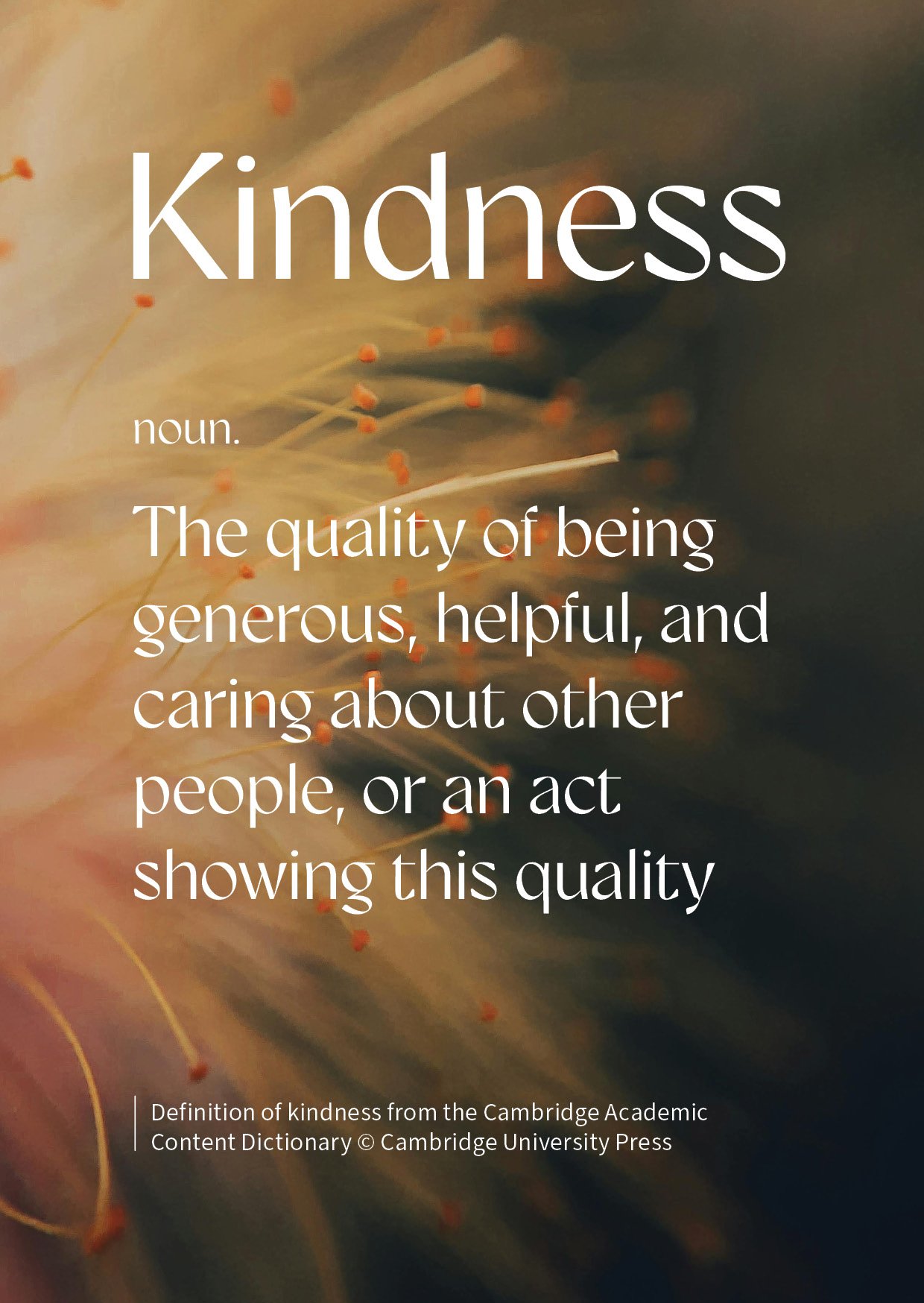 The definition of kindness